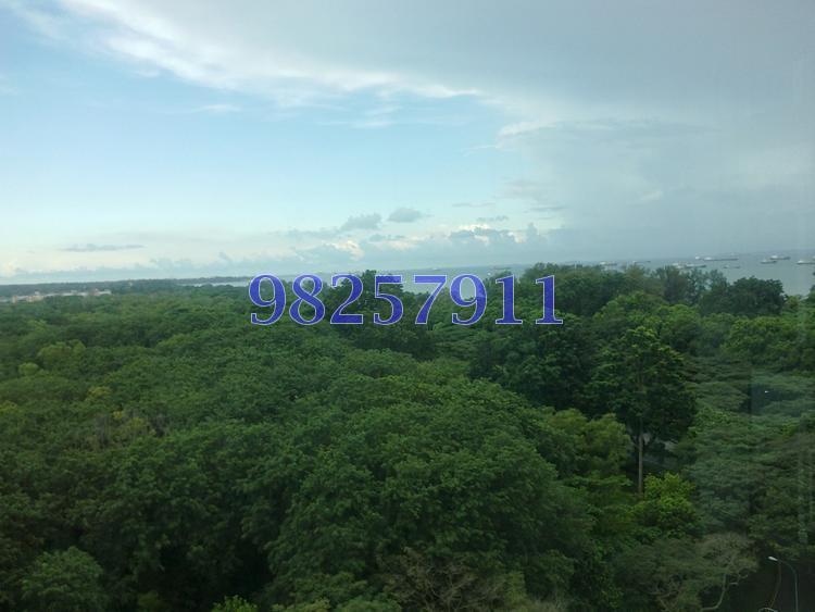 Costa Del Sol thumbnail photo